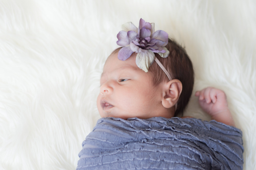 newborn purple flower